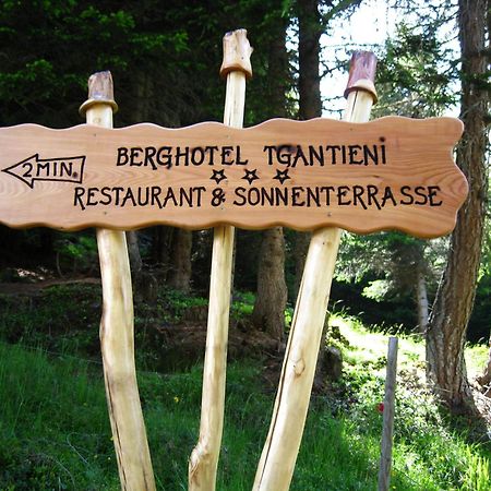 Berghotel Tgantieni Lenzerheide Extérieur photo